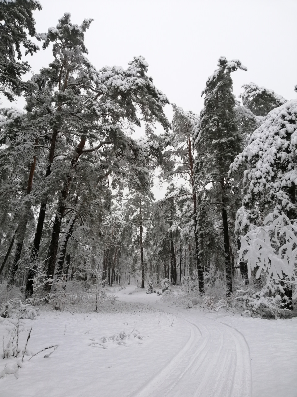 Зимова казка ❄️ 2