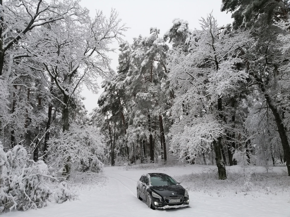 Зимова казка ❄️ 5