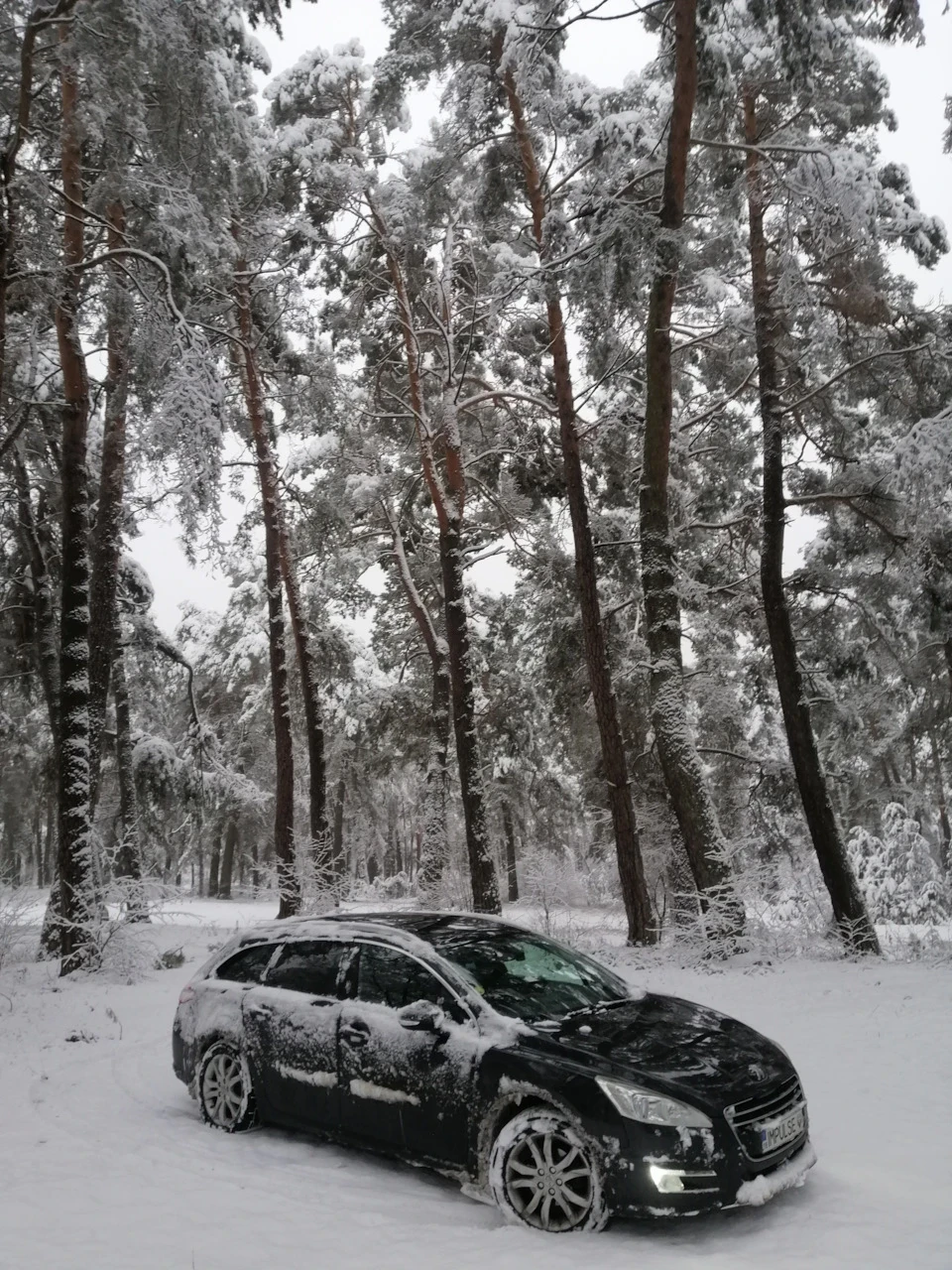 Зимова казка ❄️