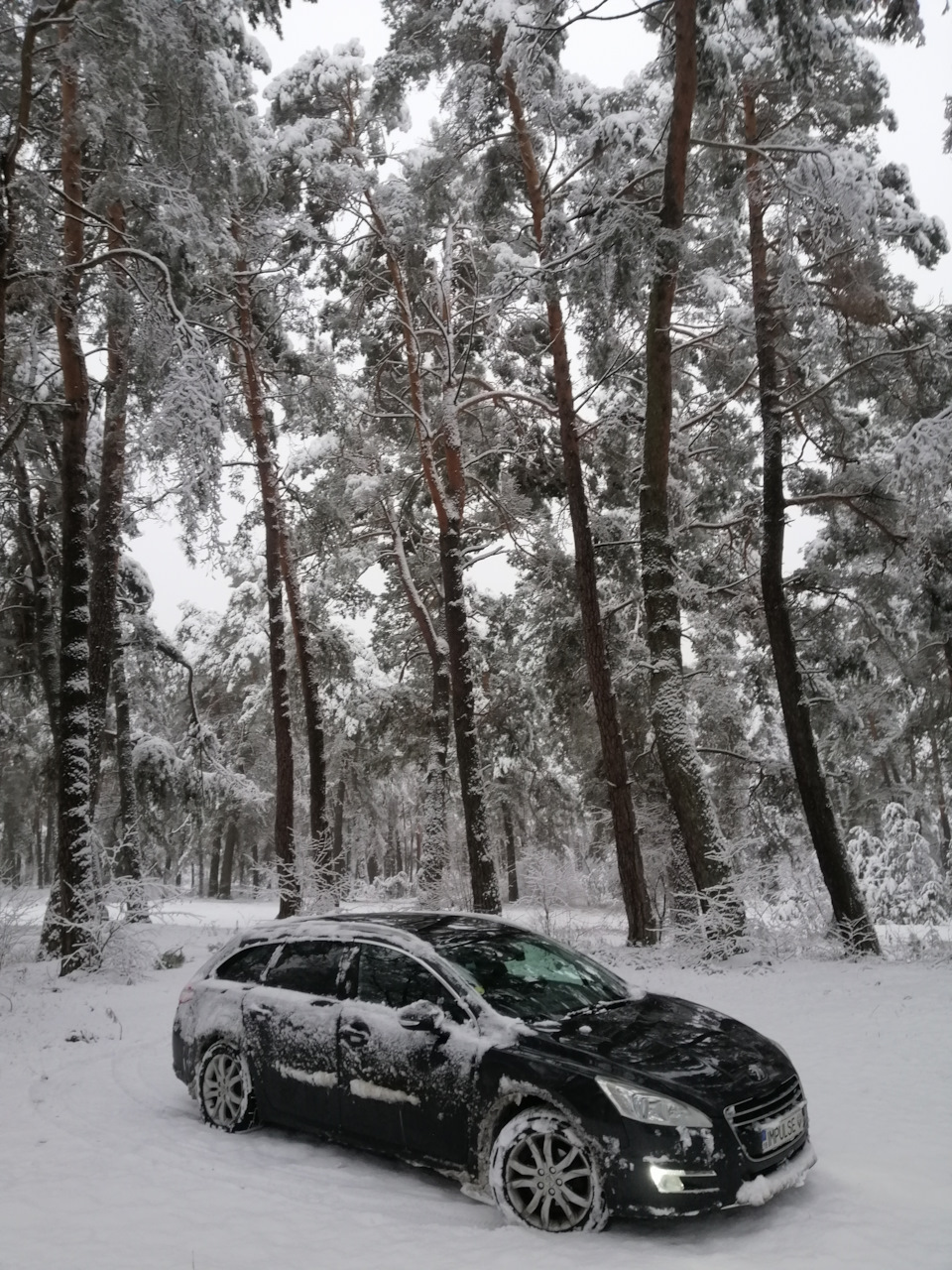 Зимова казка ❄️ 1