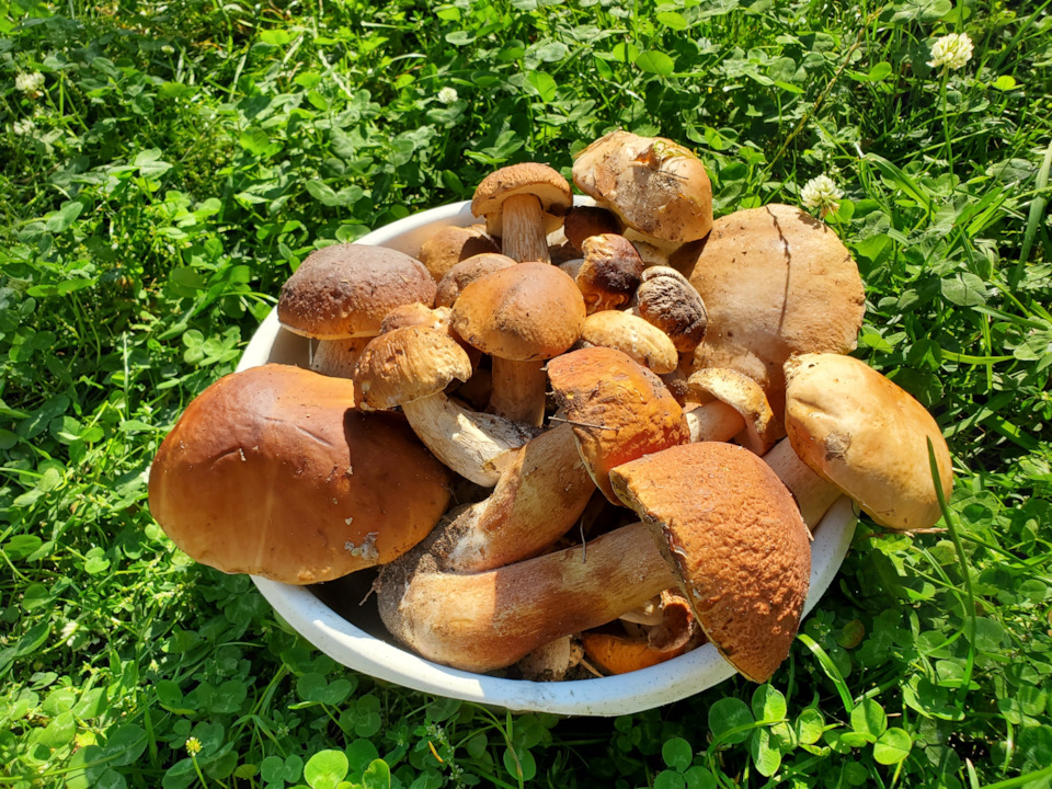 Перша тисяча пройдено 4