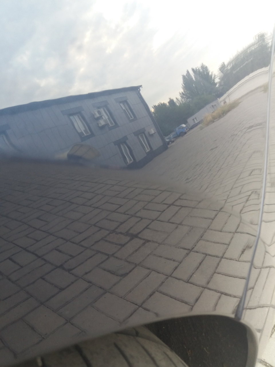 Реклама черепашки) 5