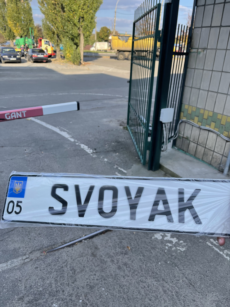 27. Індивідуальний номерний знак для мого Лева. 2