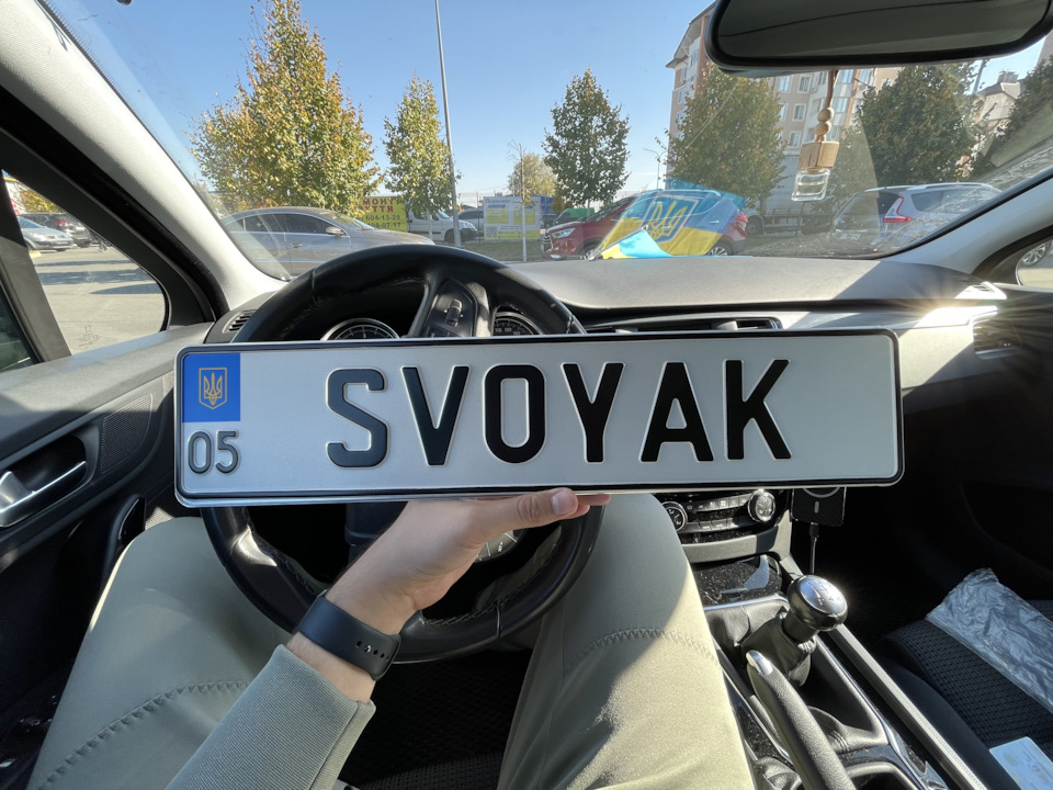 27. Індивідуальний номерний знак для мого Лева. 1