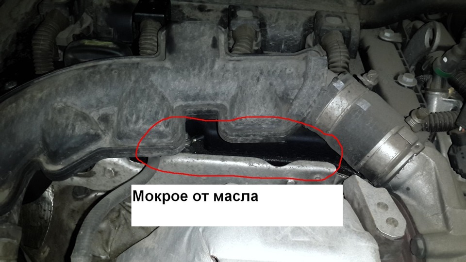Прокладка клапанної кришки 1