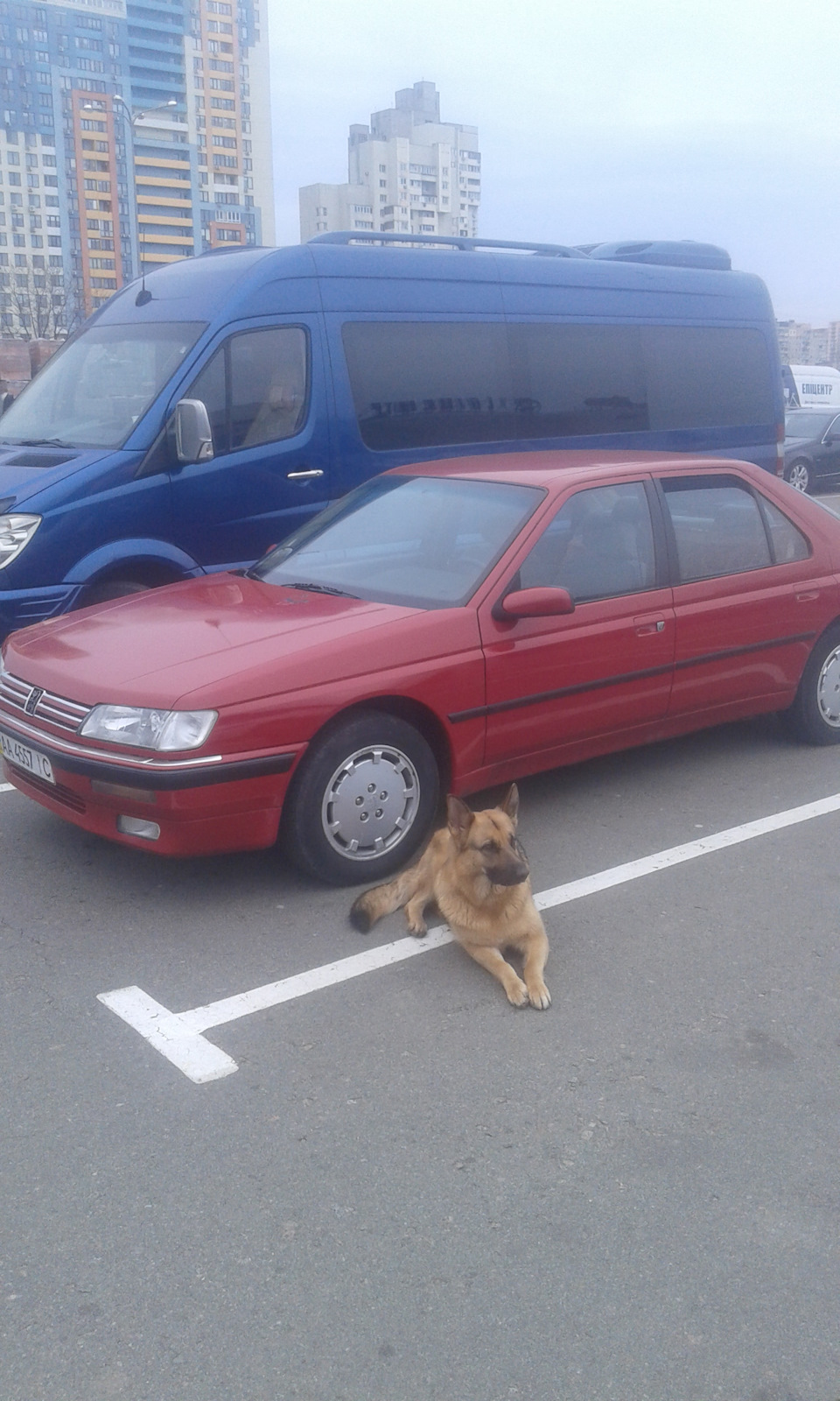 Peugeot) 2
