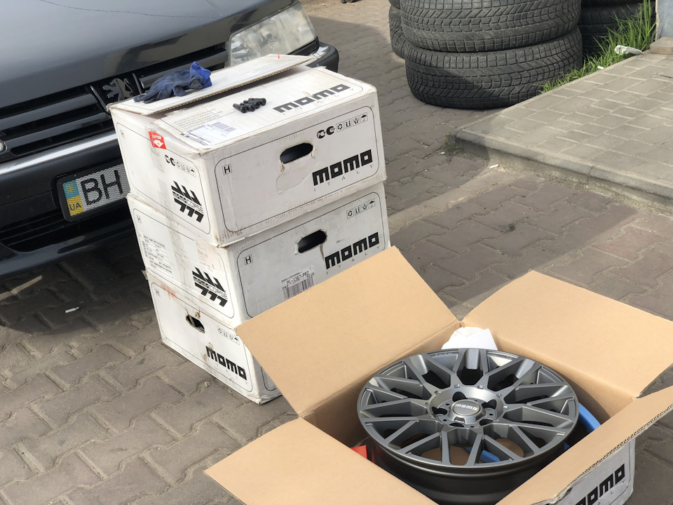 Momo revenge r16 1