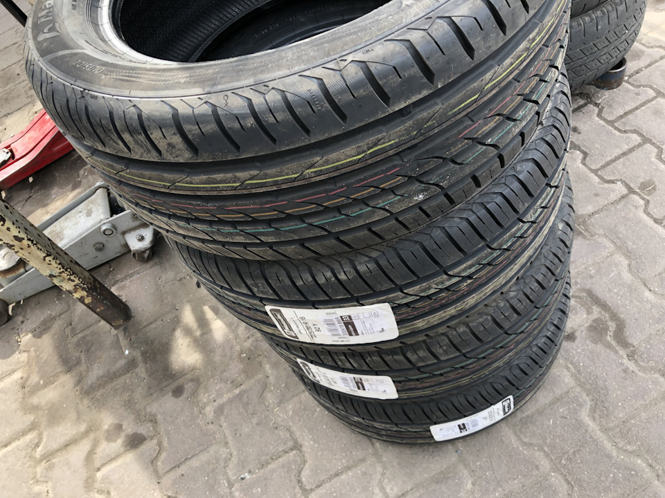 Momo revenge r16 4