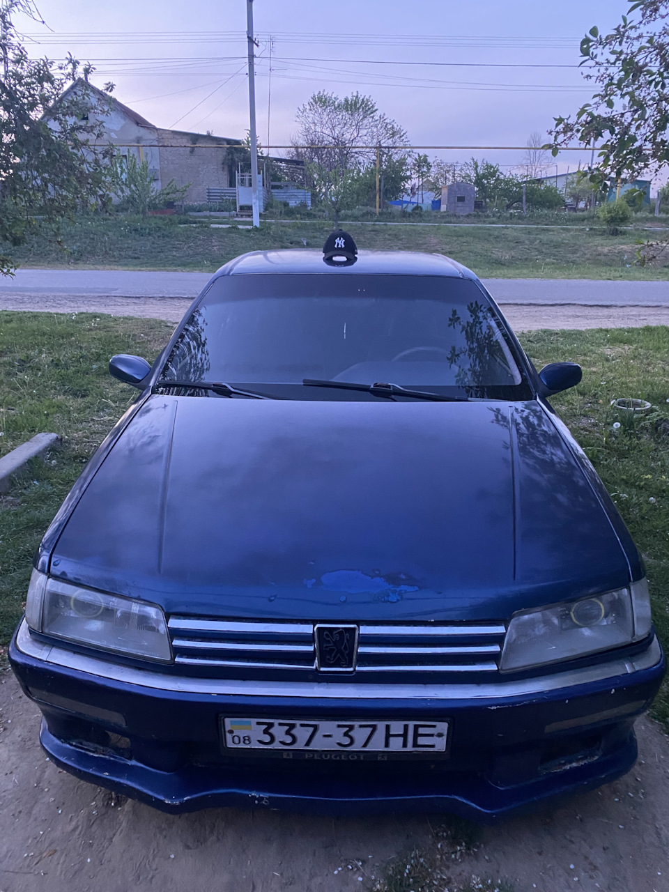 Сонце, засліпила мого Лева 😂 1
