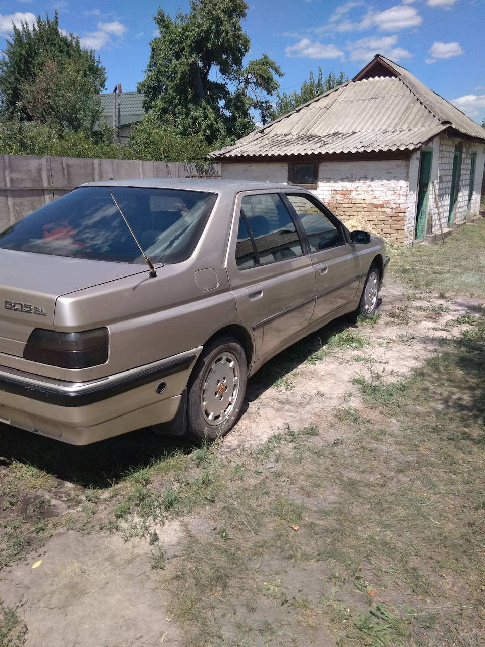 Пизик продан! 3