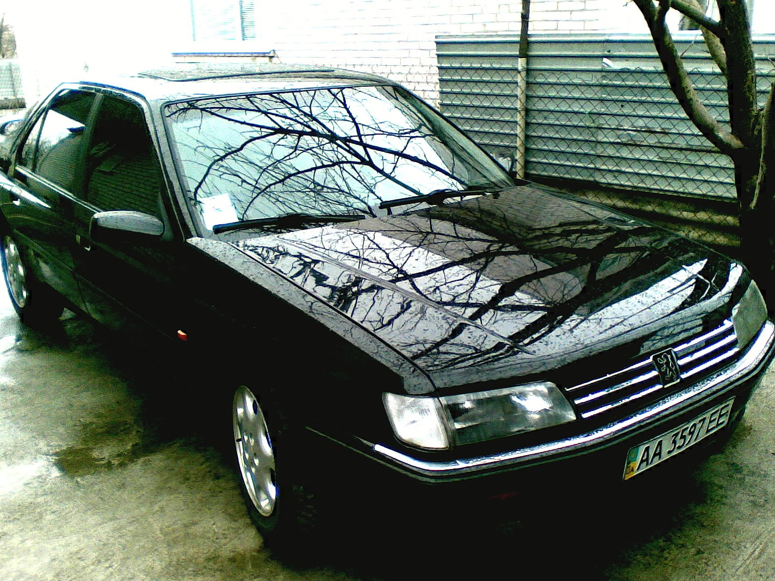 Фрі-Хендс 3