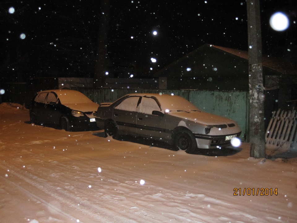 Небесний сумує за господинею:) 1