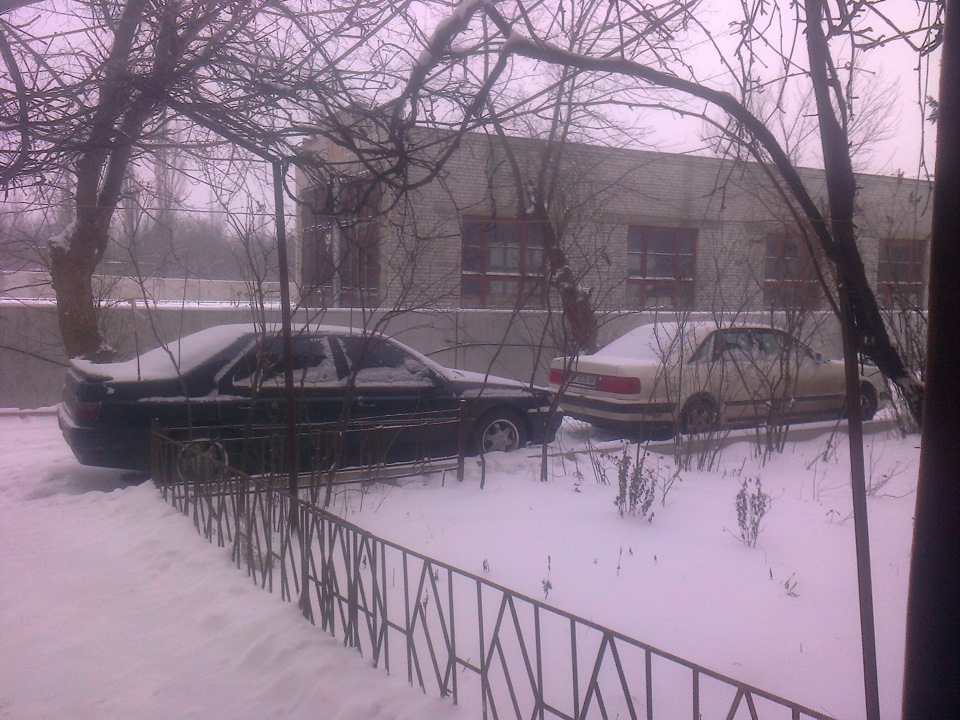 пару фоток... 1