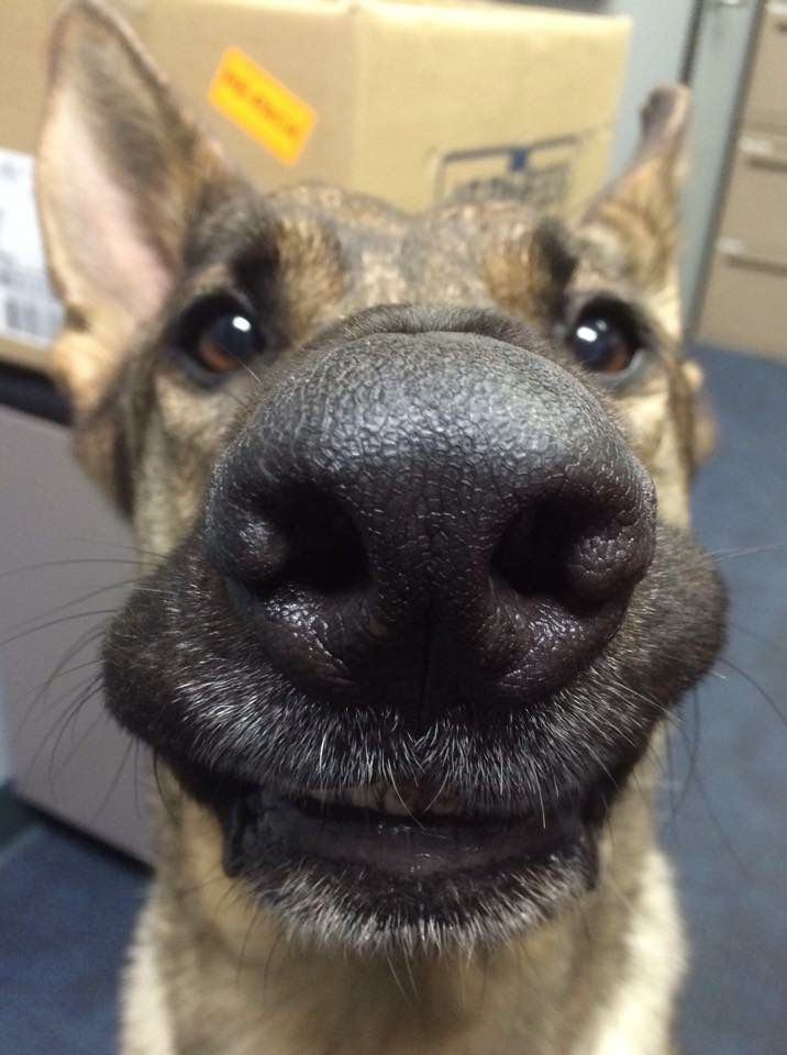 Отже, весь доброго ранку, не обійшлося без казусів😞 1