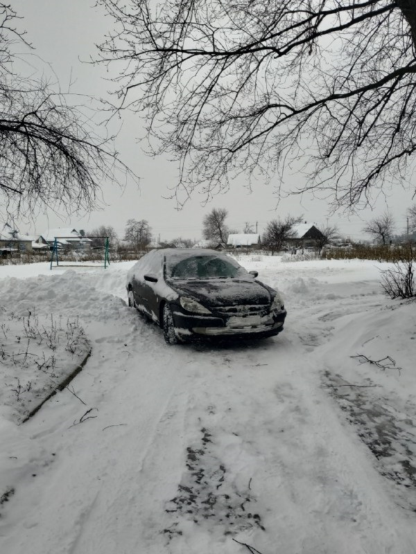 Засипало снігом 5