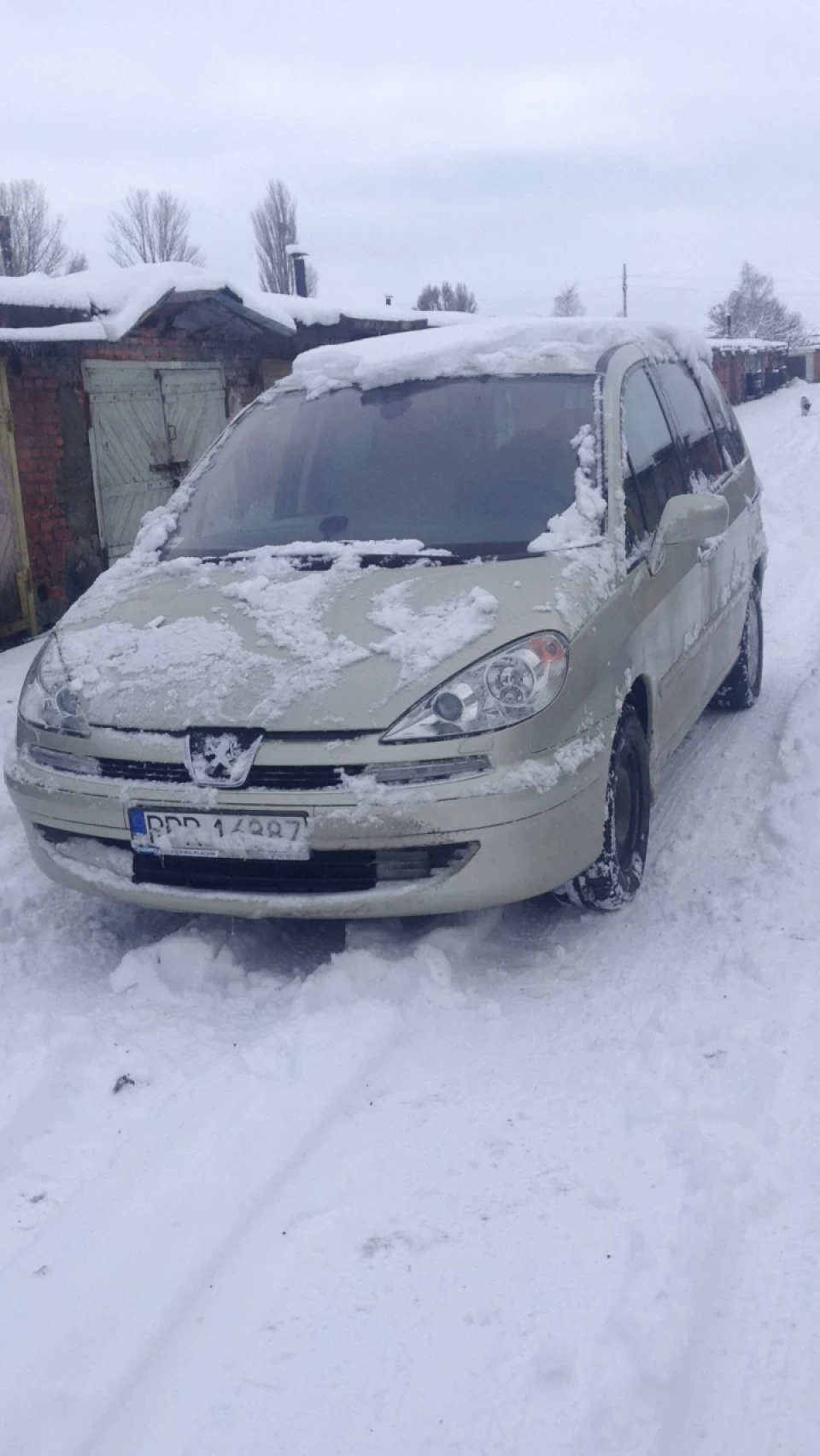 Перемога над помилкою depollution system faulty