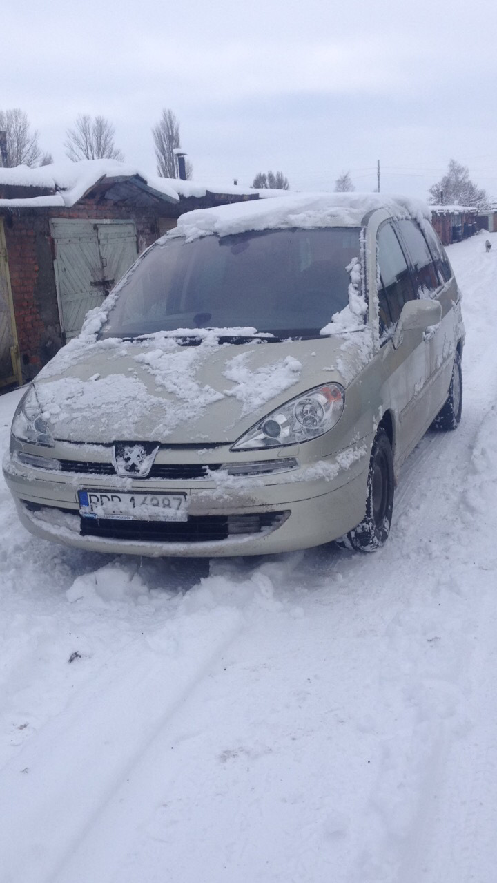 Перемога над помилкою depollution system faulty 1