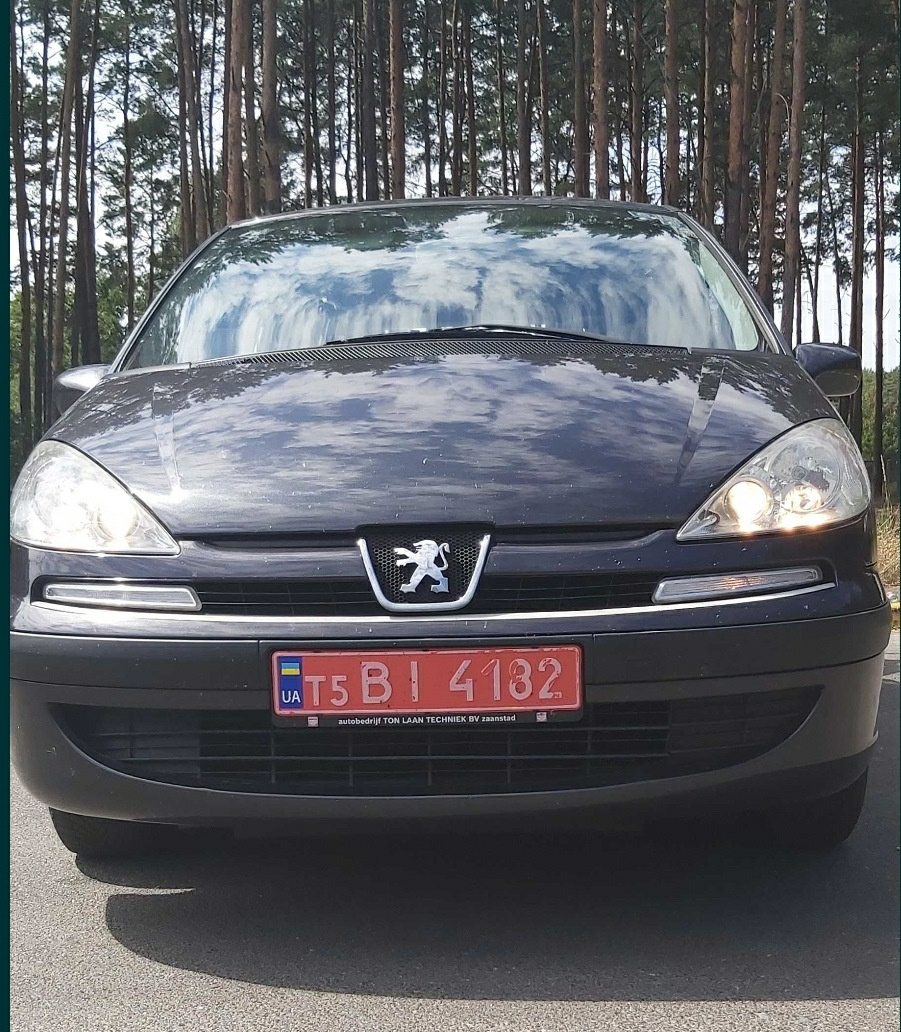 Трохи фоток Пижика. 2