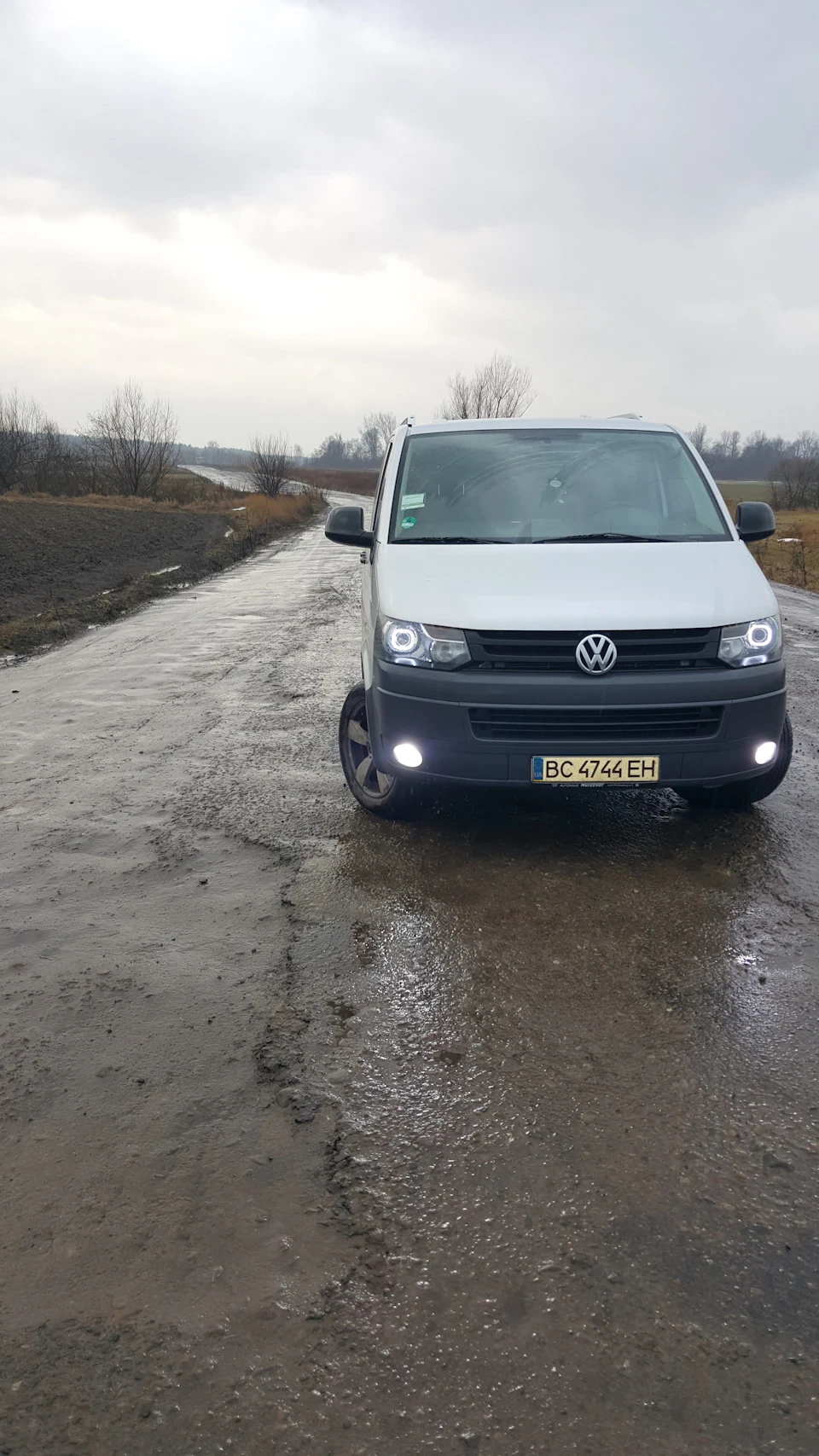 Тапки r17