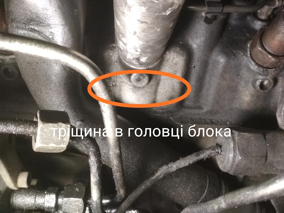 Немає слів