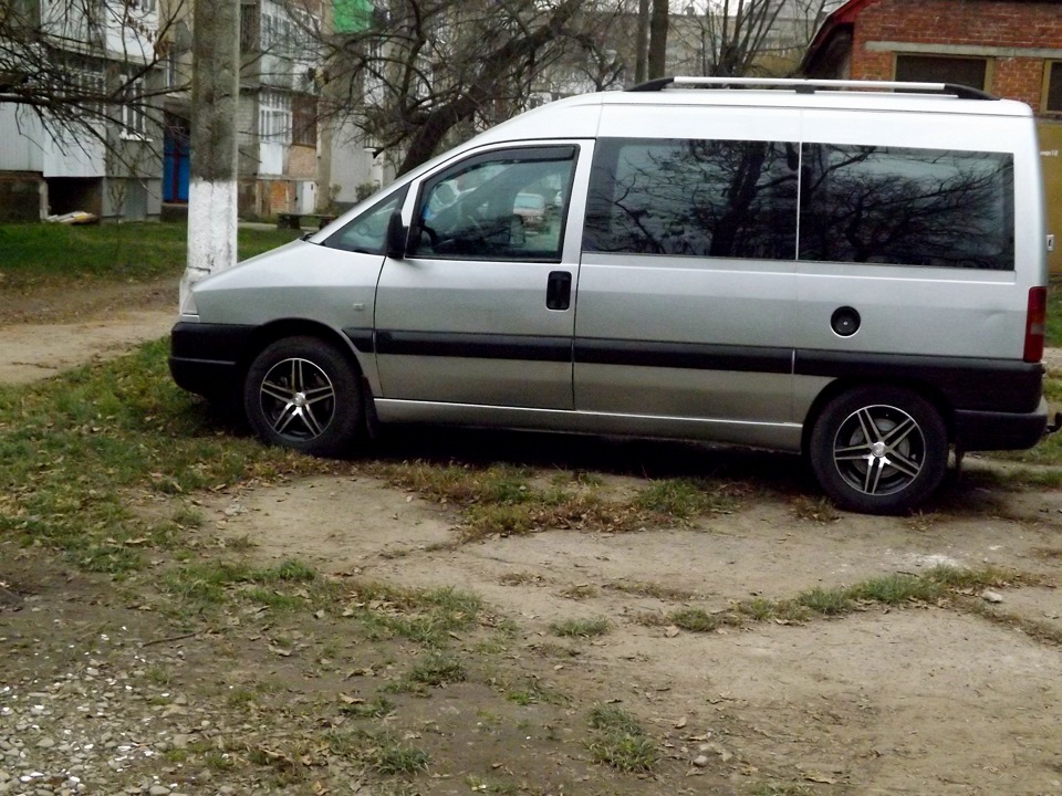 Фото піжика. 3