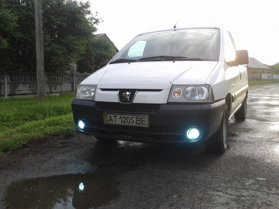 XENON 1