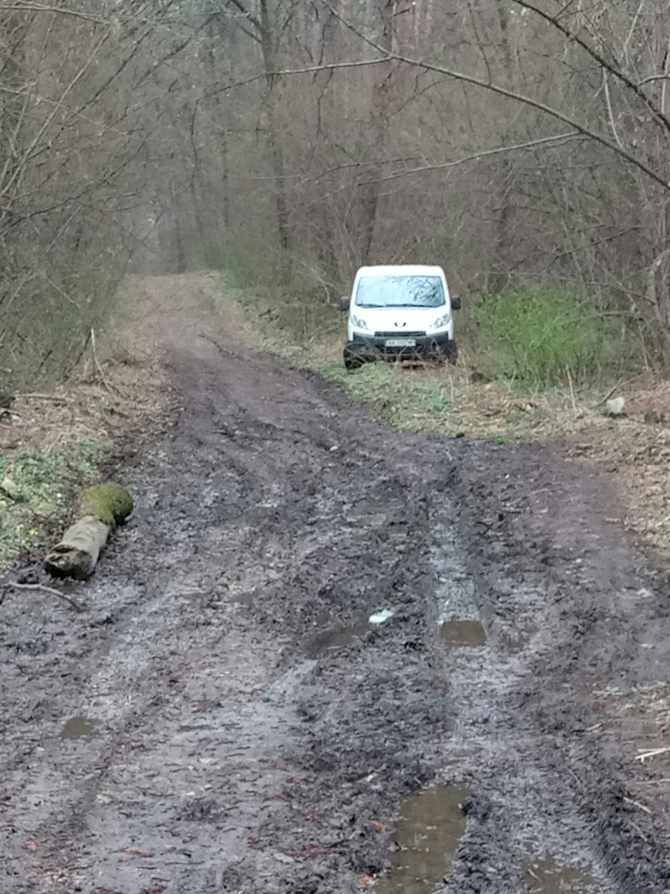 Каталізатор та клапан EGR. Потрібна порада. 1