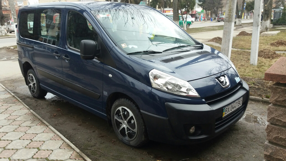 Ковпаки на піжика 1