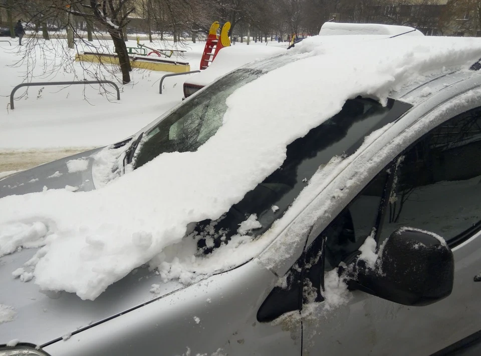 Прикольне зимове фото.