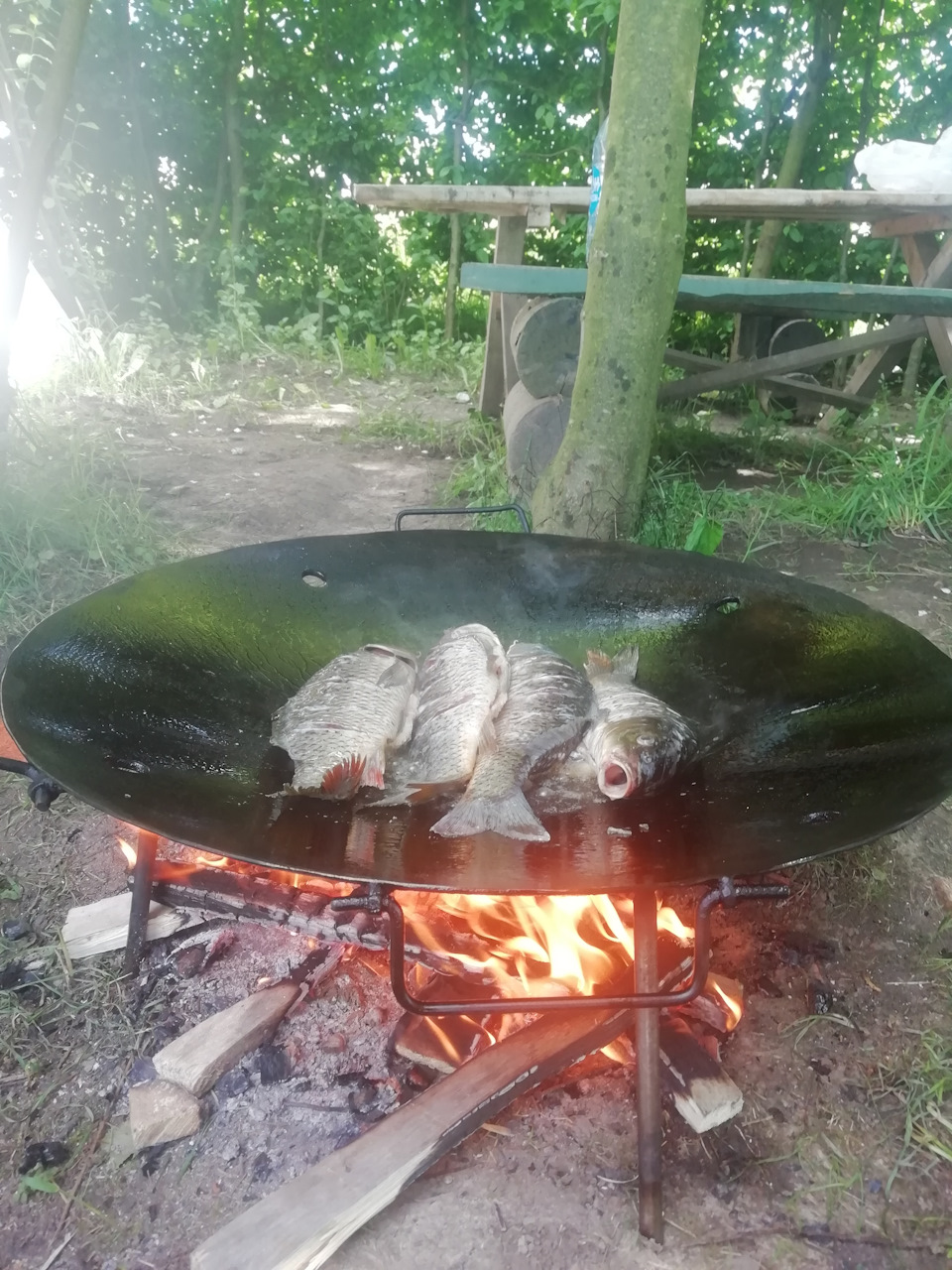 Обкатка мікрокемпера і рибалка 😀🏕️ 1