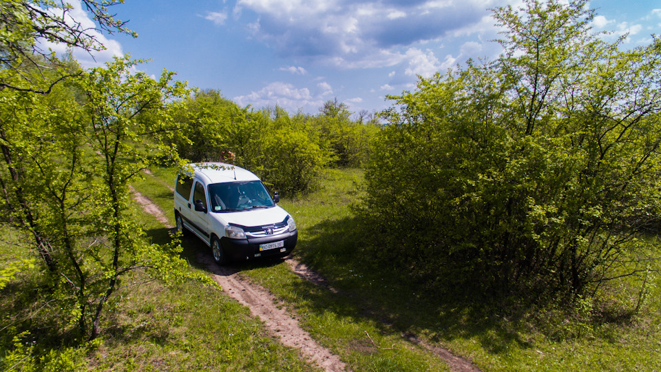 Фото на природі. 4