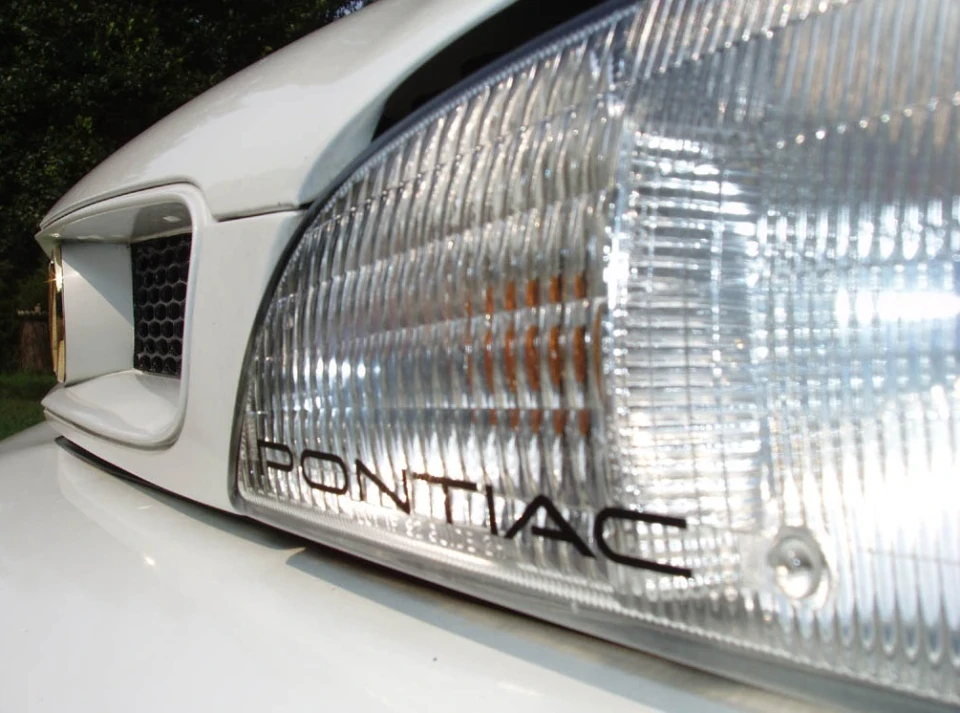 пару фоток такого ж боніка