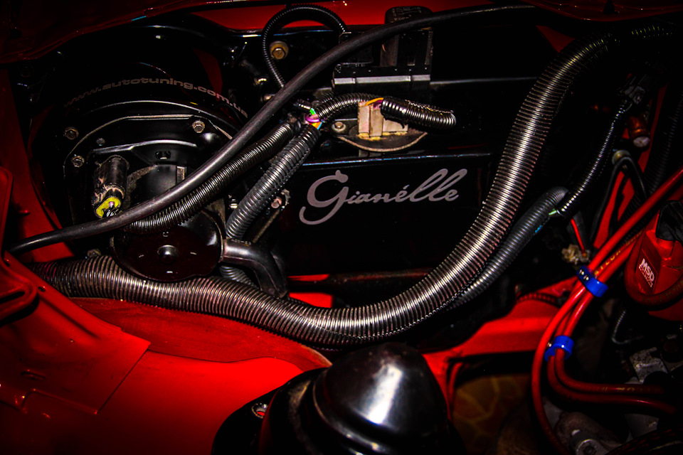 #108 Under Hood Pontiac Firebird 3