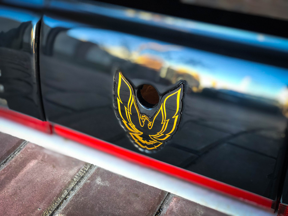 Задня оптика від Trans Am 85 5
