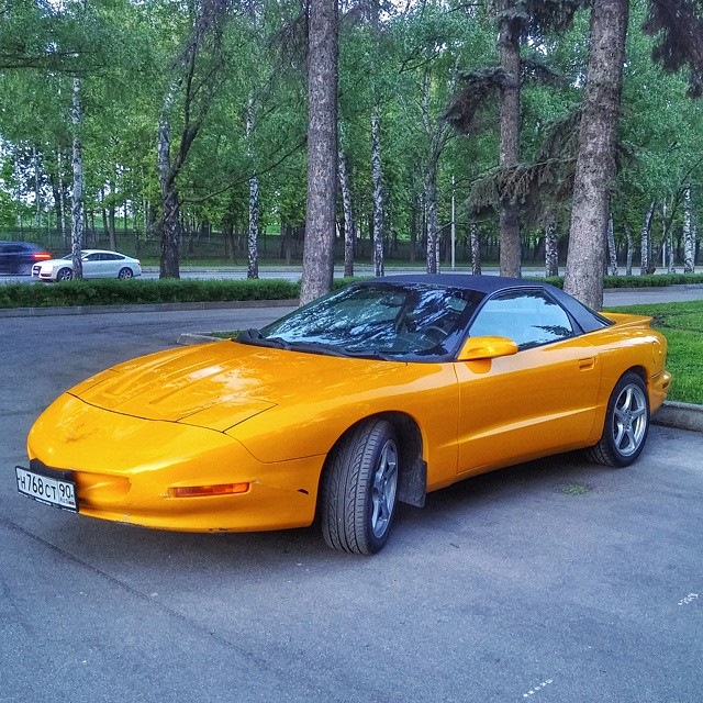 Firebird має бути ... Колір 4