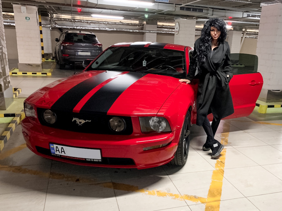 Новий вихованець ❤️🖤 Mustang 3