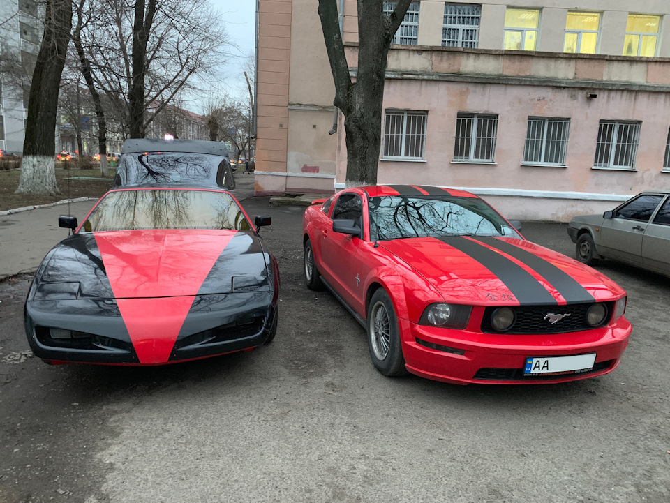 Новий вихованець ❤️🖤 Mustang 1