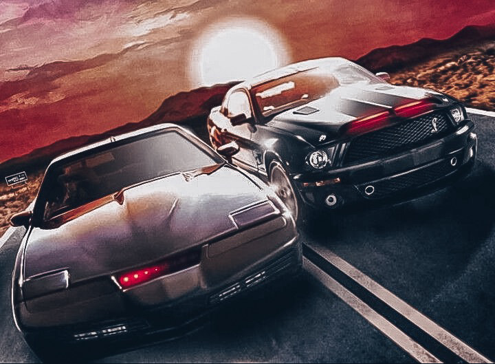 Новий вихованець ❤️🖤 Mustang 5