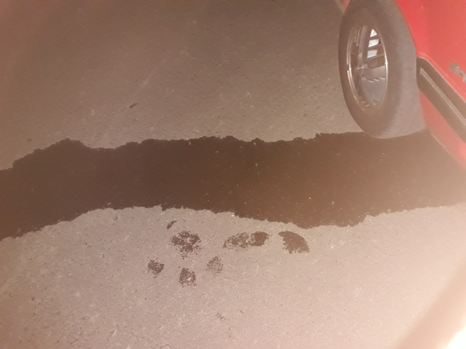 Водяна Помпа та термостат 4
