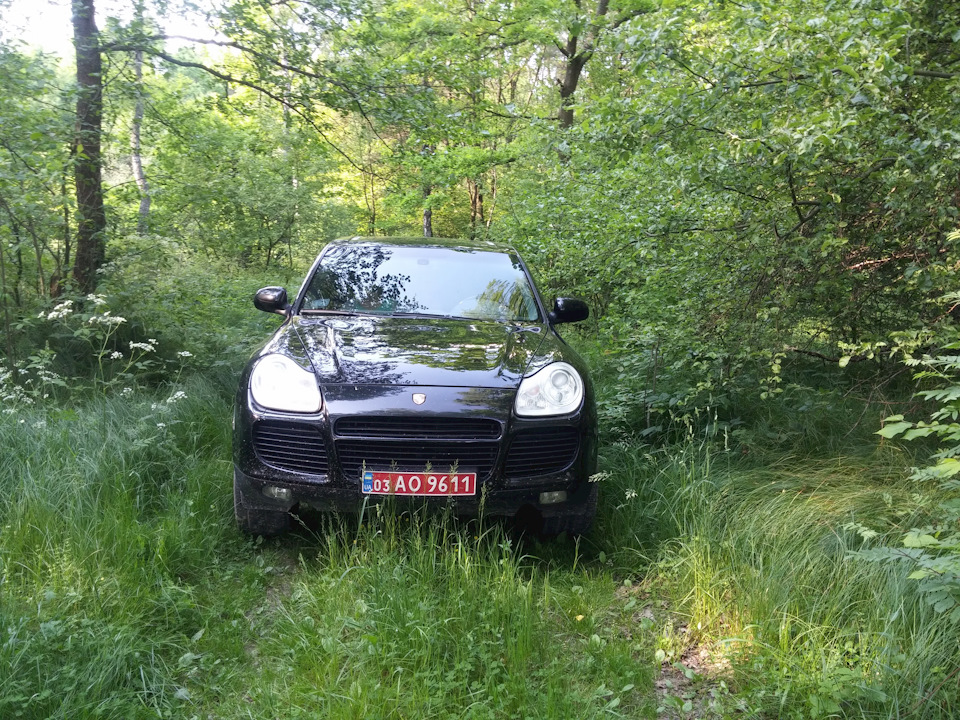 Потепліло 3