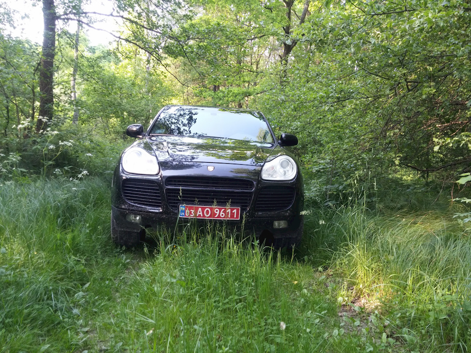Потепліло 4