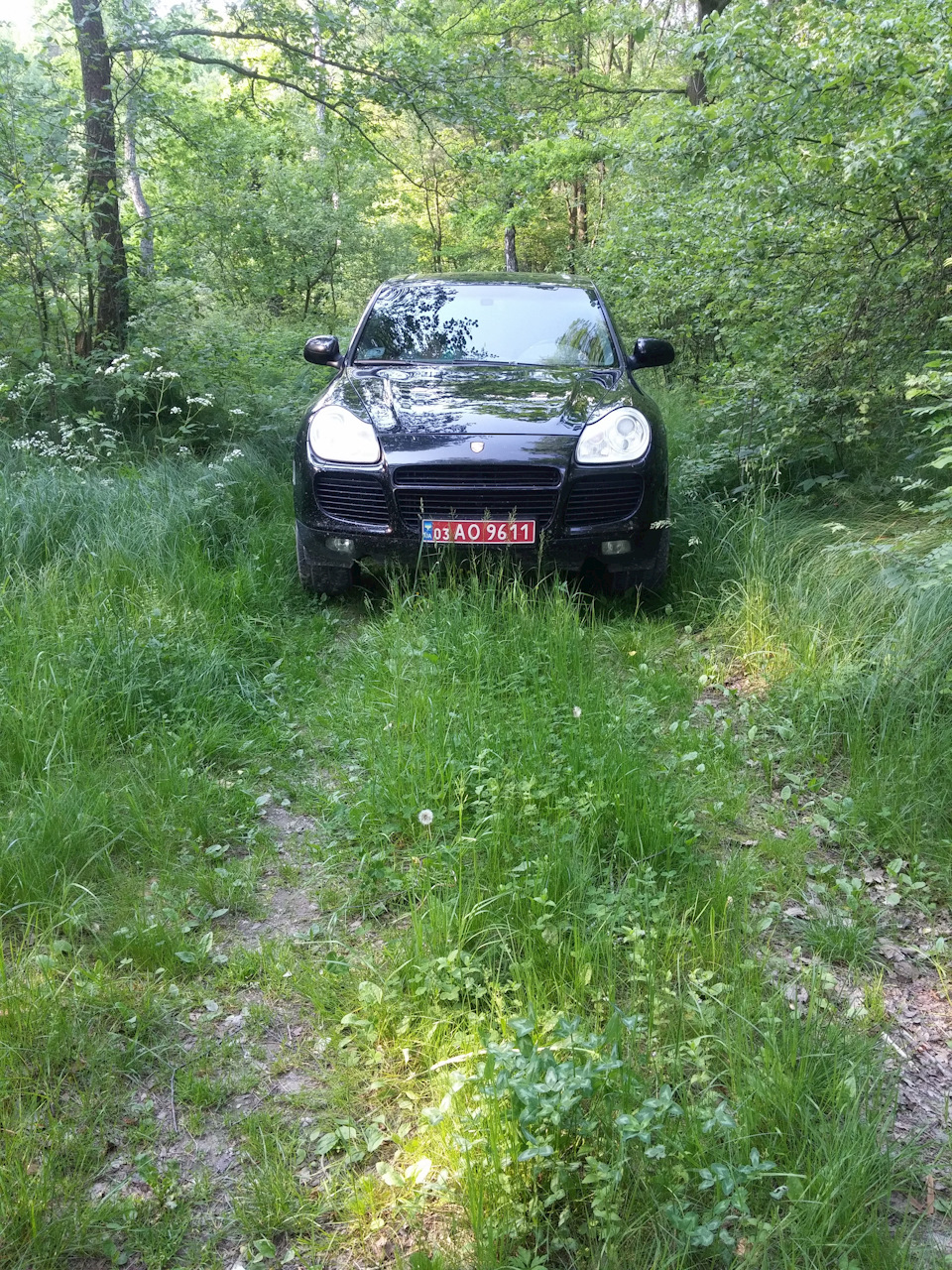 Потепліло 2