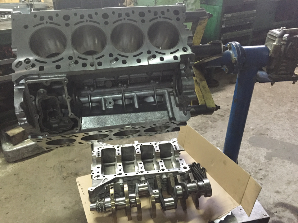 ...Reborn))) 1