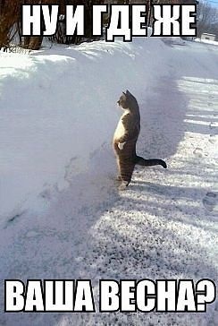 ...кошмар повернувся 1