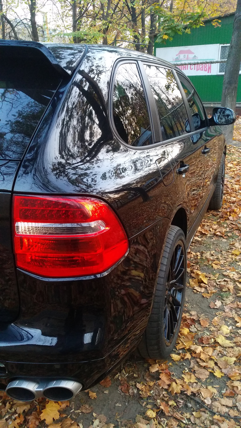 Cayenne turbo і листя) 3