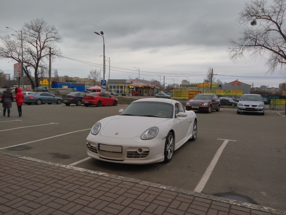 Альбінос 1
