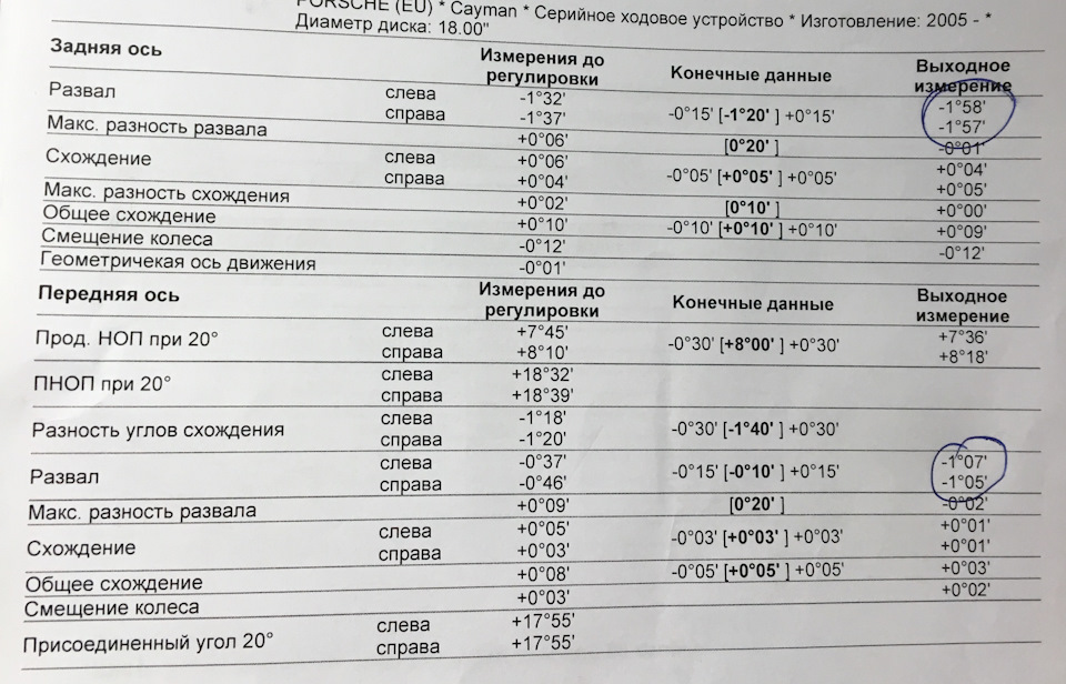 Як ми з кайманом пережили перші 3км разом 3