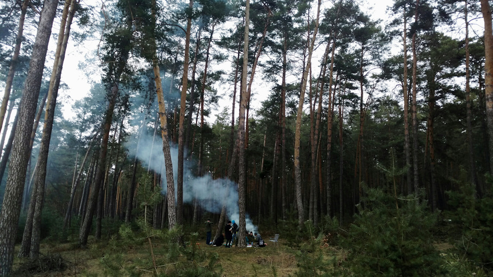 Пікнік 2