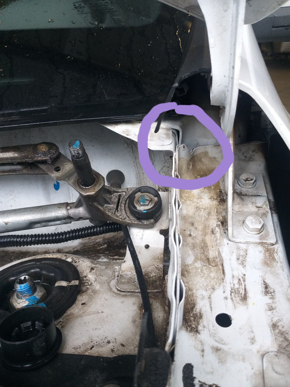 Вода в салоні під килимком 1