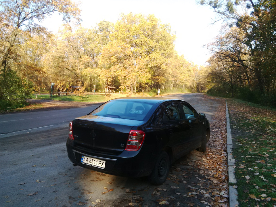 Емблема та бренд 5
